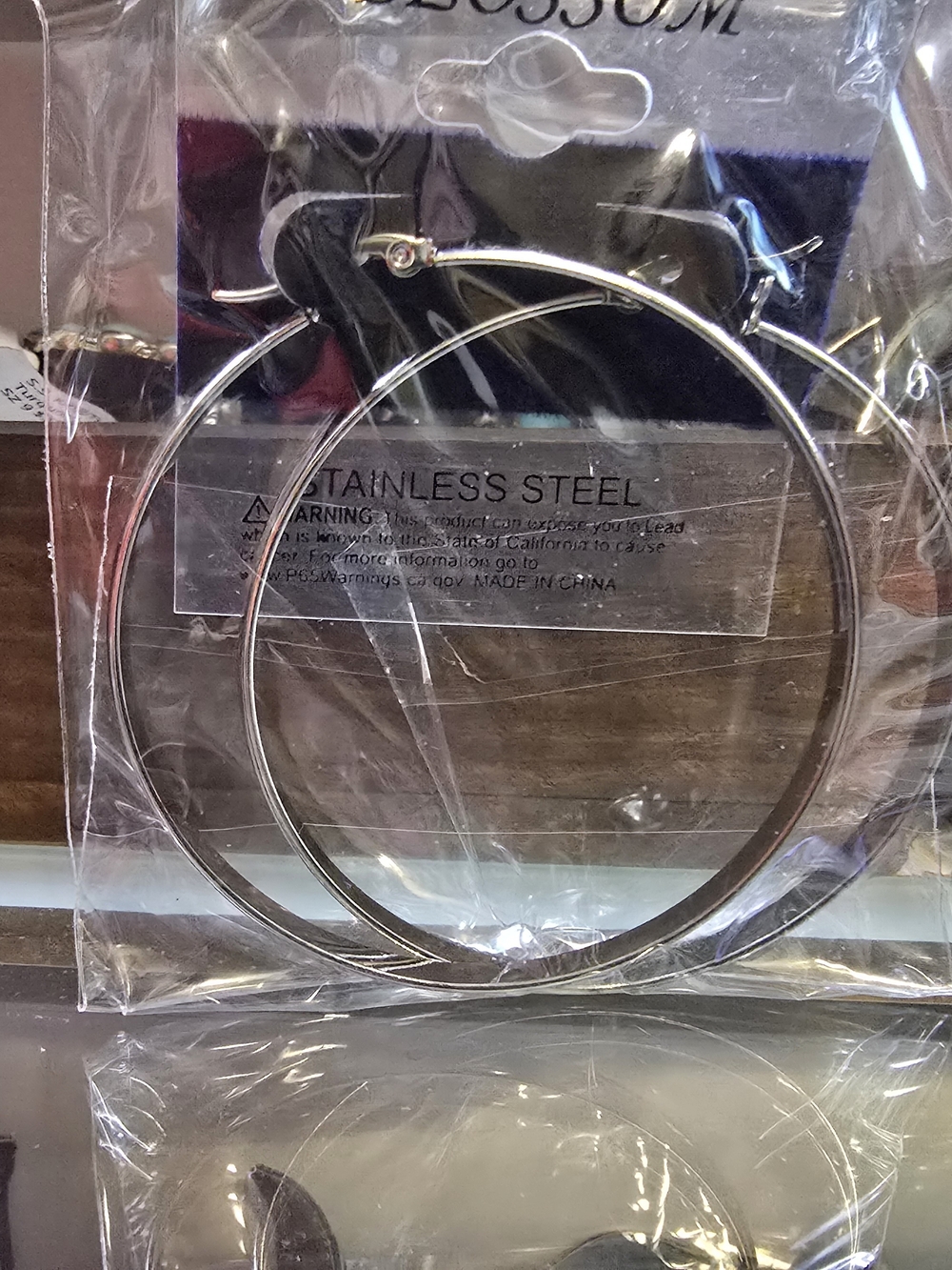 Rodeo Quincy Stainless Steel Silver Hoop Earrings